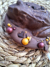 Load image into Gallery viewer, Frog Milk chocolate lolly

